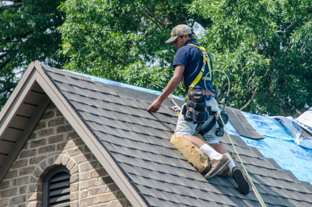 Roof Gutter Cleaning in Sunrise, FL